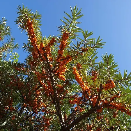 Prázdninový dům Urlauberdorf 62a